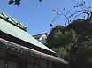 聖跡めぐり　立教聖場編