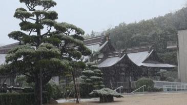 ご霊地の風景　雪