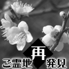 ご霊地再発見「ともにそだつ木」